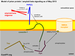 prp-abeta-binding-thumbnail1