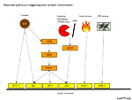 prp-transcription-thumbnail