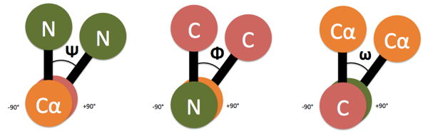 dihedral angles in proteins