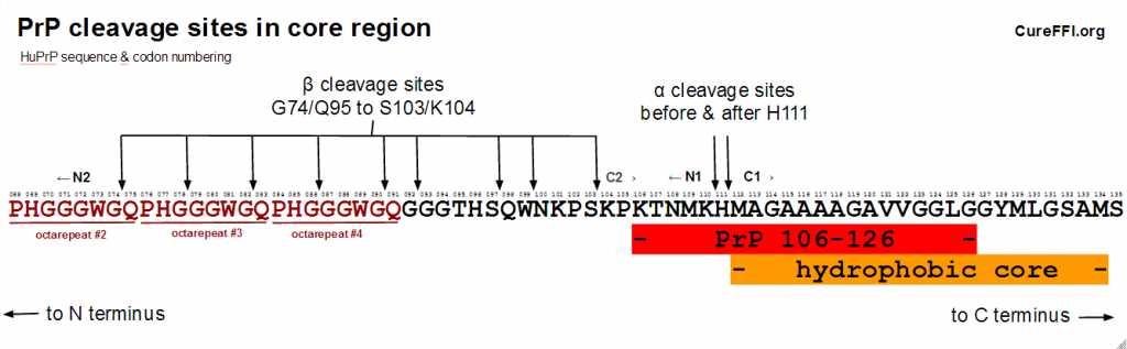 prp-cleavage-sites-core-numbered-hires