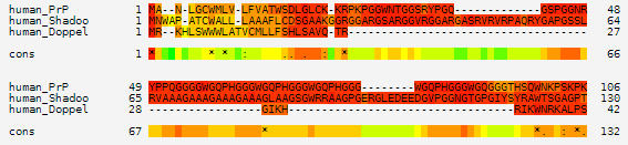 prp_multalign_human_paralogs