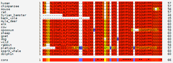 prp_multalign_mammals